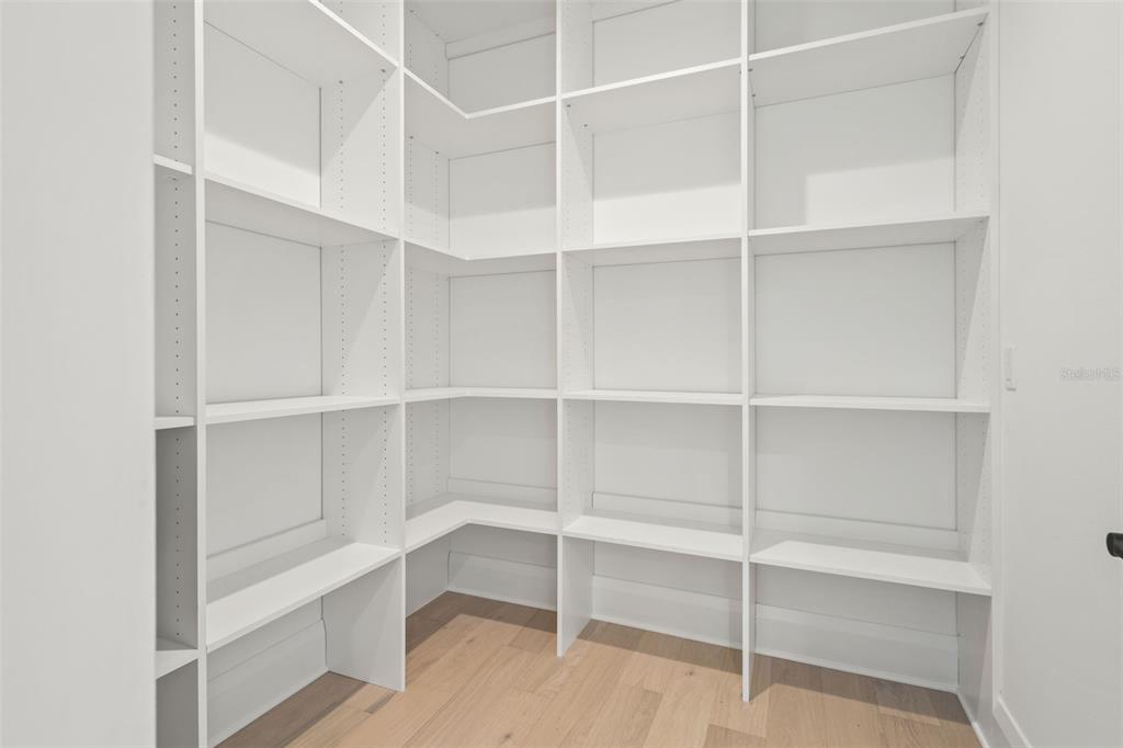 A walk-in pantry features white floor-to-ceiling shelving and light wood flooring — 1524 S HABANA AVENUE, TAMPA, FL