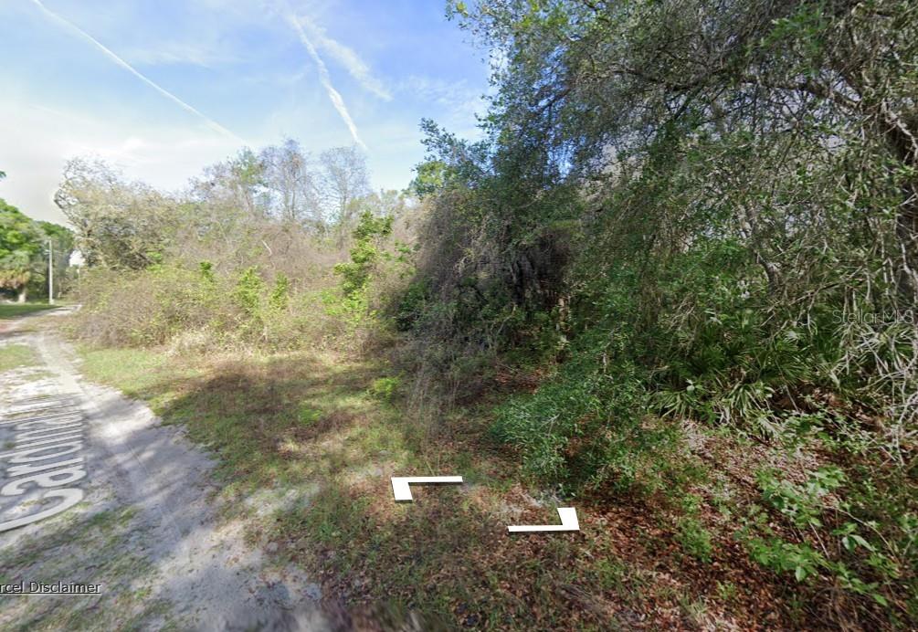 A dirt road runs alongside a wooded lot with dense trees and undergrowth — 0 NE 437TH AVE, OLD TOWN, FL
