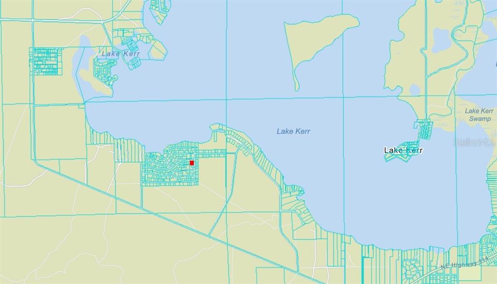 NE 134 PL, SALT SPRINGS, FL — photo 4 of 5