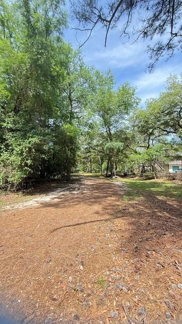 A dirt path leads through a wooded area with mature trees and pine needles — 2905 CREEK STREET, MIDDLEBURG, FL