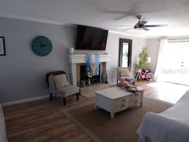 A living room features a fireplace with a television above it, a coffee table, and chairs — 5766 FORESTER PINE COURT, SARASOTA, FL