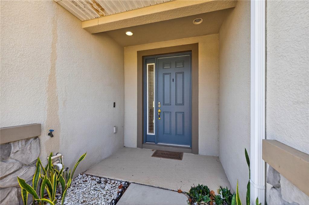 An exterior view of a home entryway featuring a blue front door with a sidelight — 8128 MUDDY PINES PLACE, TAMPA, FL
