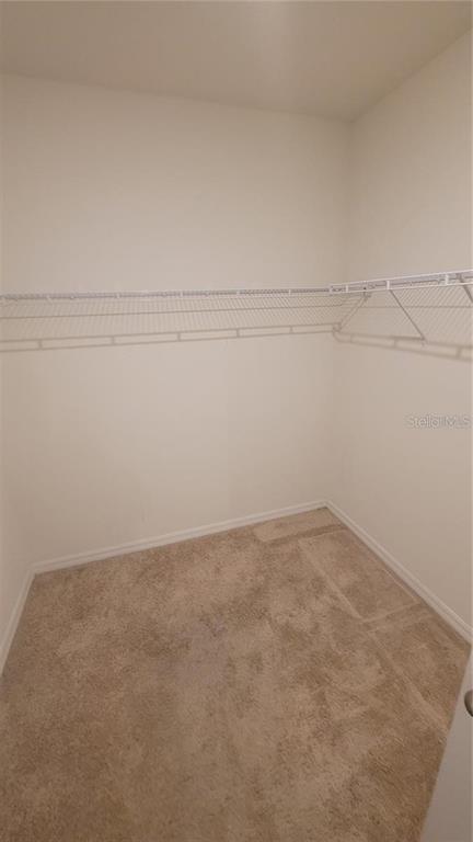 A walk-in closet with beige carpeting and white wire shelving installed on the walls — 1128 FOX PATH, DAVENPORT, FL