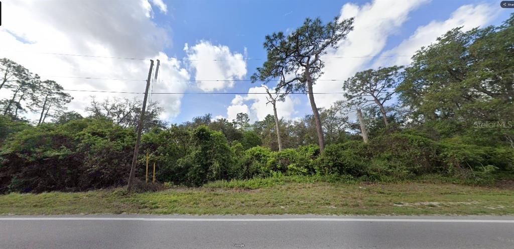 A view of a vacant, wooded lot bordered by a paved road and utility poles — DEEN STILL ROAD, POLK CITY, FL