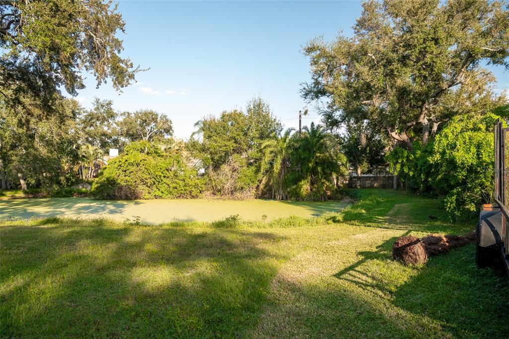 A grassy backyard features a pond covered in green algae surrounded by mature trees — 6027 98TH WAY N, ST PETERSBURG, FL