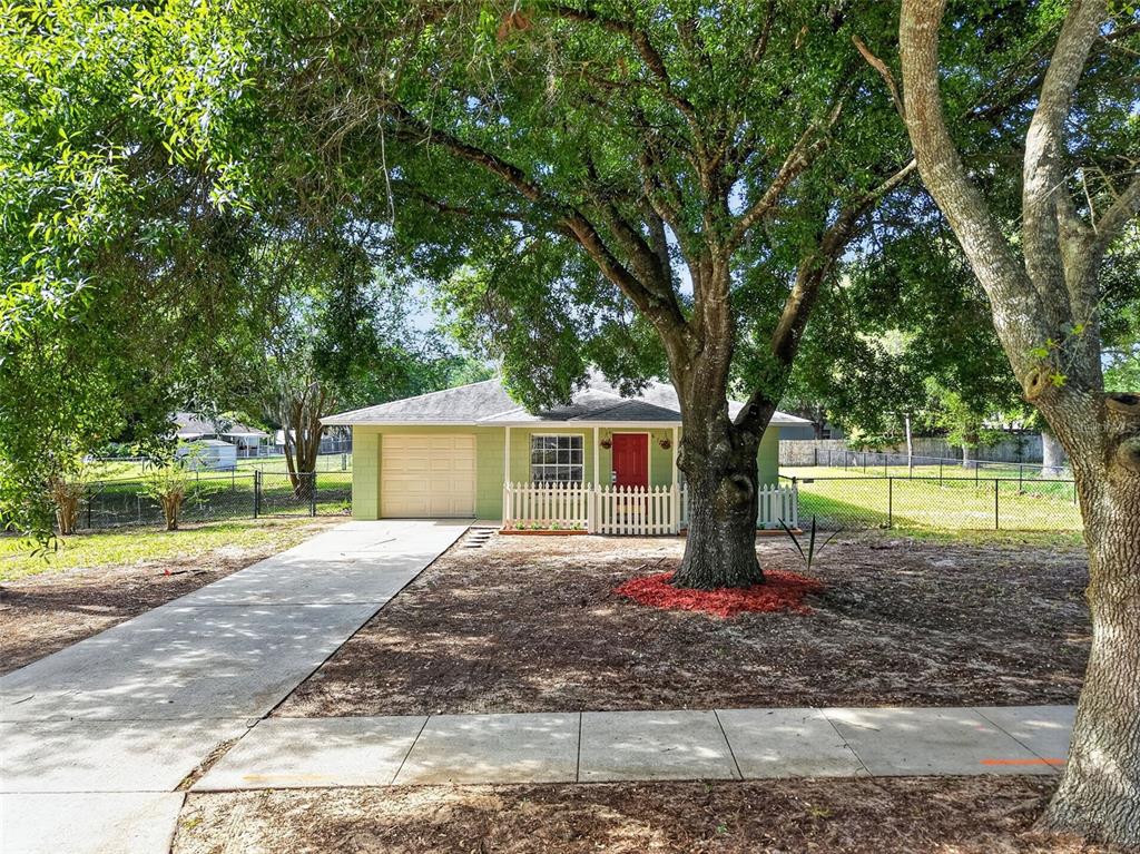 A single-story house with a green exterior, red front door, and a large front yard tree — 610 PALMETTO DRIVE, MASCOTTE, FL