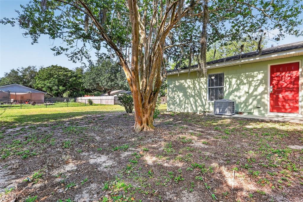 A backyard features a large tree, a light green house with a red door, and fencing — 610 PALMETTO DRIVE, MASCOTTE, FL