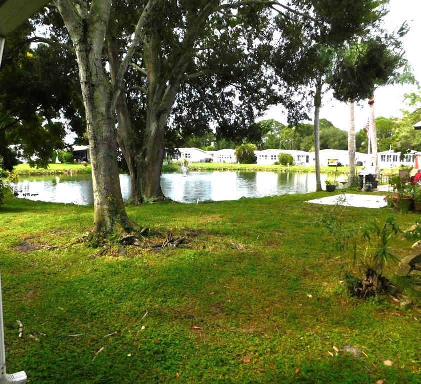 A grassy backyard features large trees and a view of a pond with a fountain — 1001 STARKEY ROAD UNIT 639, LARGO, FL