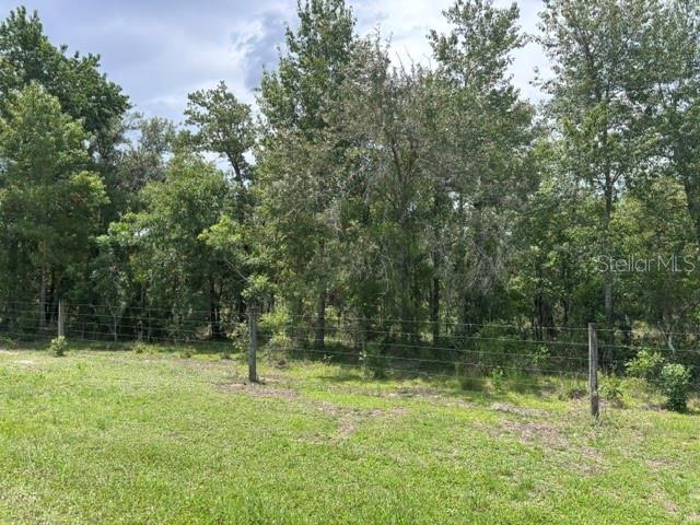 A wire fence separates a grassy field from a dense line of trees — SE 16 LANE, MORRISTON, FL