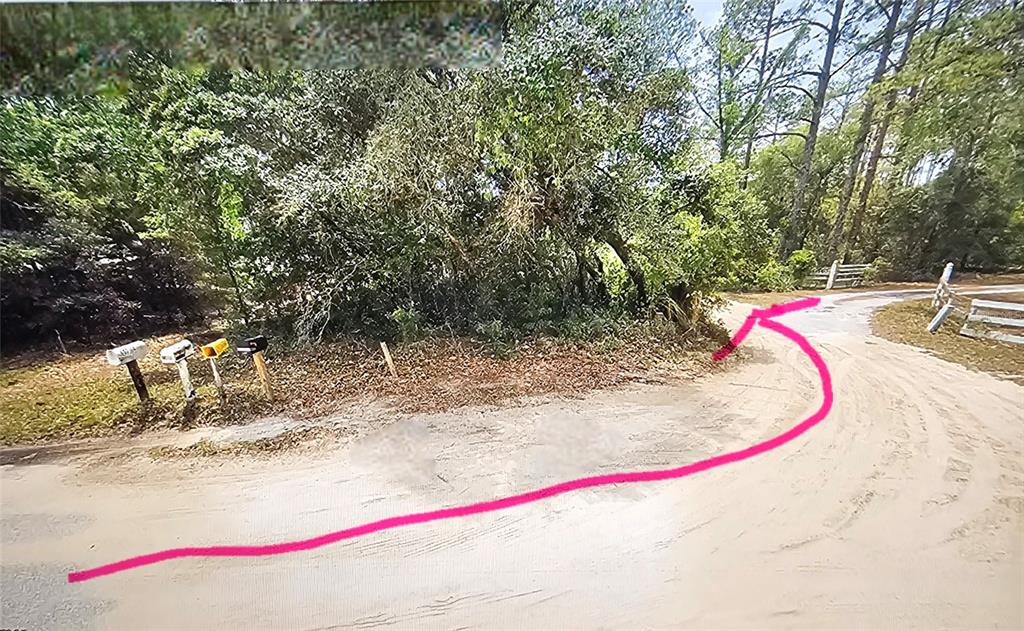 A dirt road curves past a row of mailboxes toward a wooded area — 2950 W POMPANO LANE, DUNNELLON, FL