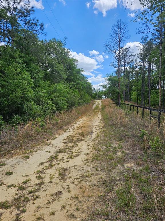A dirt path leads through a wooded area alongside a wooden fence under a blue sky — 2950 W POMPANO LANE, DUNNELLON, FL