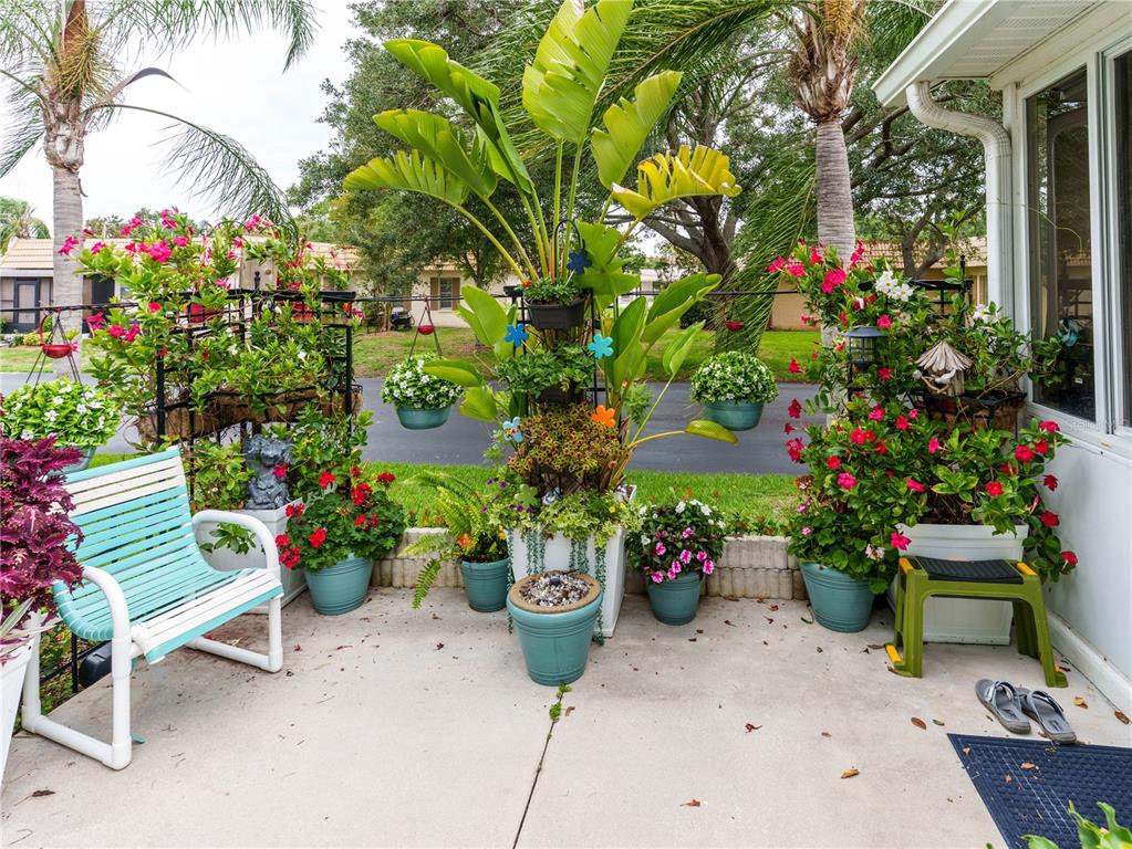 A patio features a light blue bench, numerous potted plants, and a large central banana plant — 9234 SANTA MONICA WAY, NEW PORT RICHEY, FL