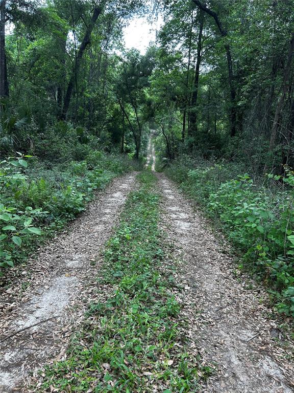 TBD NW 123RD PLACE, CITRA, FL — photo 2 of 4