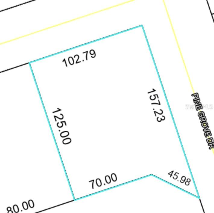 This is a property survey map showing the dimensions of a residential lot — 60 PINE CEDAR DRIVE, PALM COAST, FL