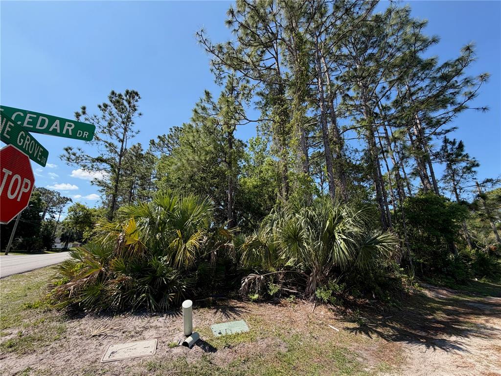 A street corner with a stop sign, street signs, and dense trees and vegetation — 60 PINE CEDAR DRIVE, PALM COAST, FL