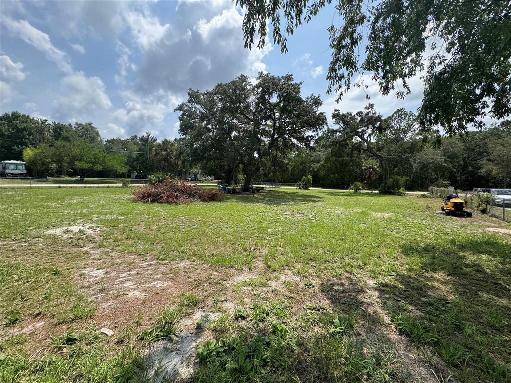 A large, grassy, partially shaded lot features a pile of brush and mature trees — 11365 S ANN POINT, HOMOSASSA, FL