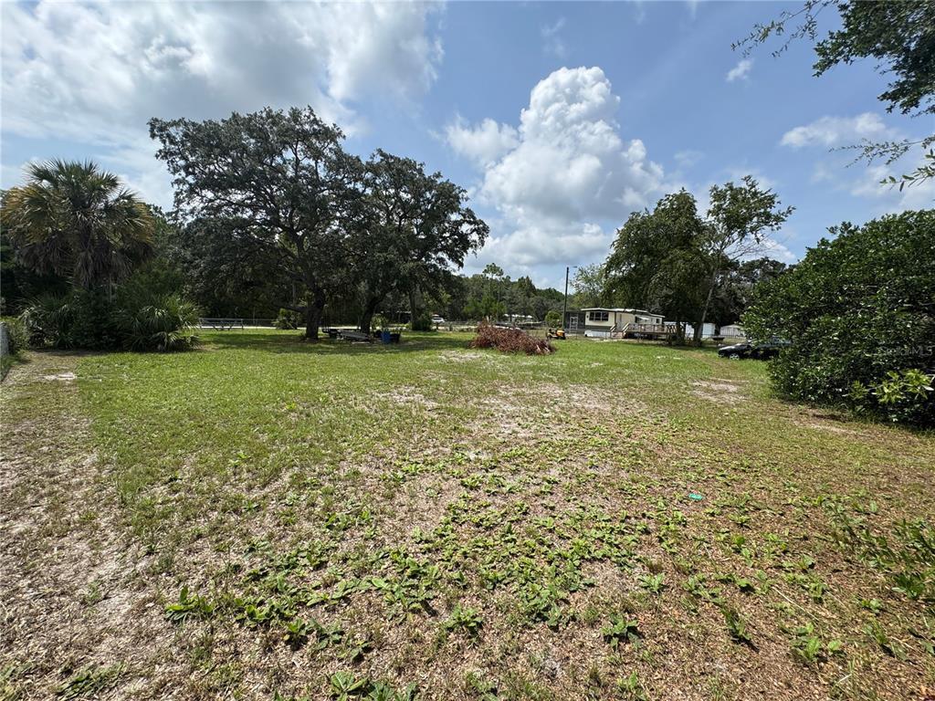 A grassy, open lot features several large trees and a distant mobile home — 11365 S ANN POINT, HOMOSASSA, FL