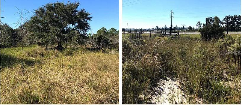 Two side-by-side photos show a grassy, undeveloped lot with a large tree and fencing — HWY 60 E, LAKE WALES, FL