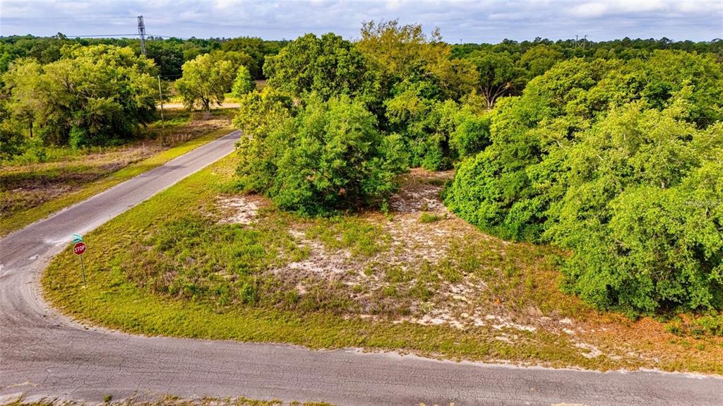 An aerial view shows a vacant, partially wooded corner lot bordered by two paved roads — GUAVA TERRACE, OCKLAWAHA, FL