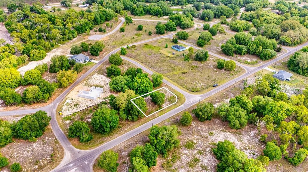 An aerial view shows a vacant, wooded residential lot outlined in white within a neighborhood — GUAVA TERRACE, OCKLAWAHA, FL
