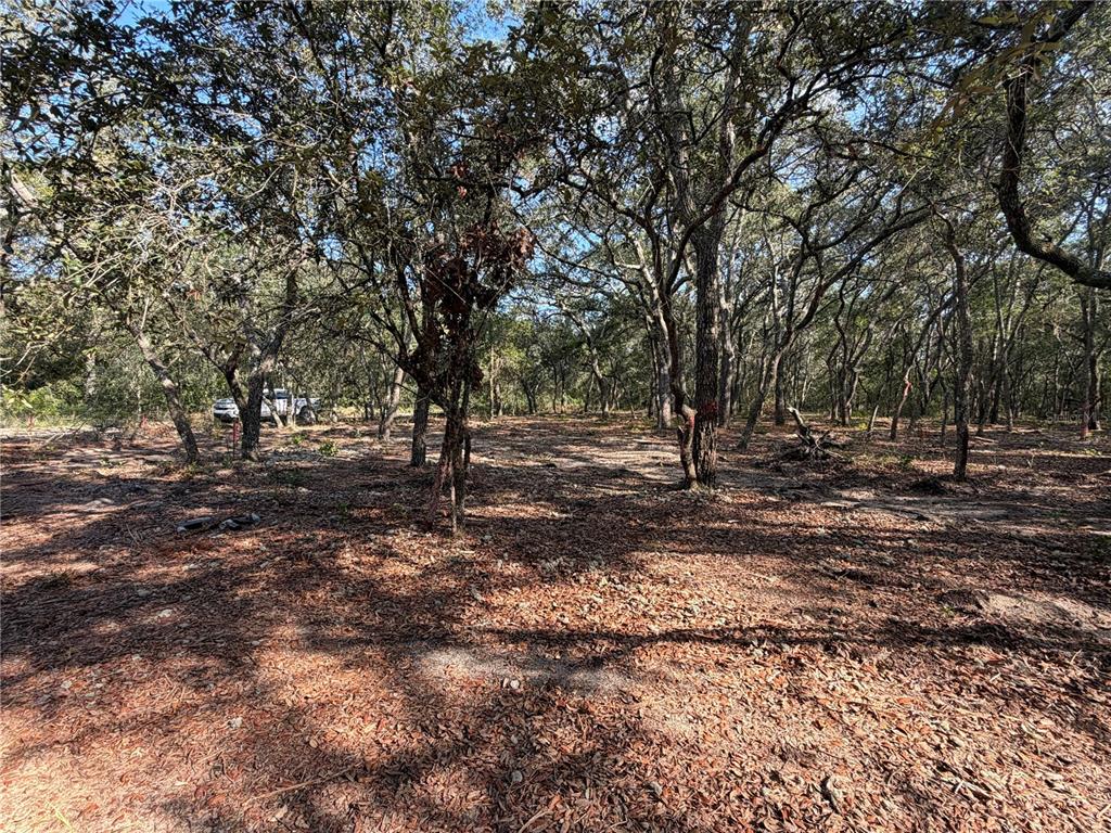 A wooded lot with scattered trees and a layer of fallen leaves on the ground — 103 SW 53RD AVENUE, INTERLACHEN, FL