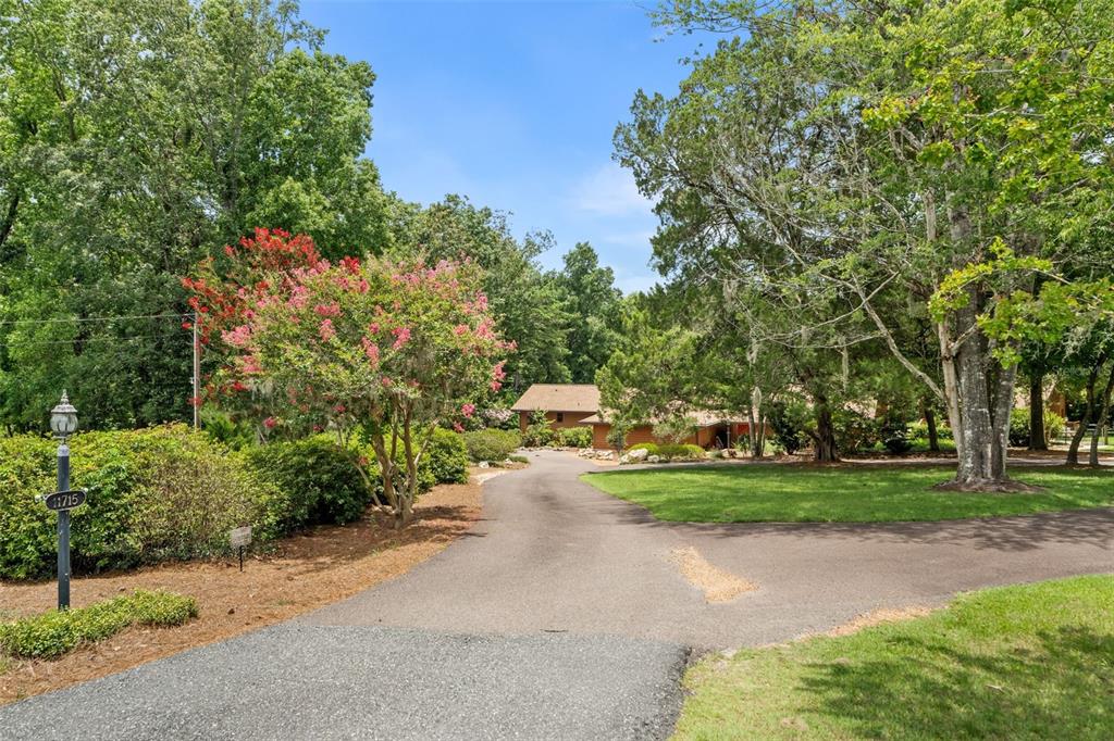A paved driveway leads toward a house nestled among mature trees and flowering shrubs — 11715 NW 122ND TERRACE, ALACHUA, FL
