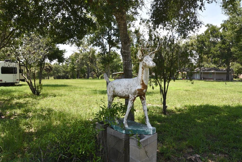 A weathered deer statue stands on concrete blocks in a grassy yard near a camper — 3100 POVERTY LANE, APOPKA, FL