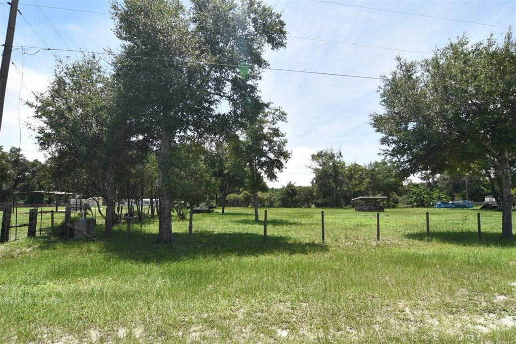 A grassy, fenced lot features several mature trees under a bright, partly cloudy sky — 3100 POVERTY LANE, APOPKA, FL