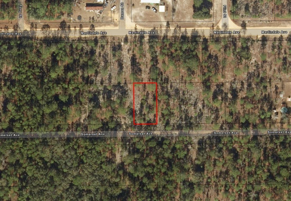 This is an aerial map view of a rectangular wooded lot between two streets — 0 Somerset Avenue, FL 32148, FL