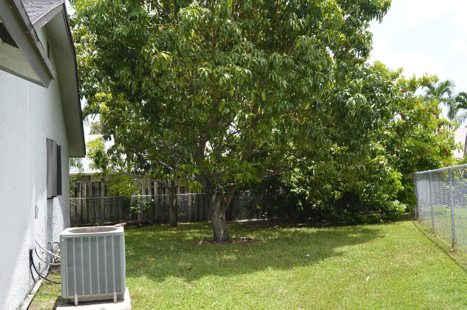 A backyard features a large mango tree, a central air conditioning unit, and chain-link fencing — 9194 NW 49TH Court, Sunrise FL 33351, SUNRISE, FL