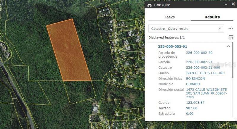 CARR 30 & CARR 203, GURABO, PR — photo 2 of 3