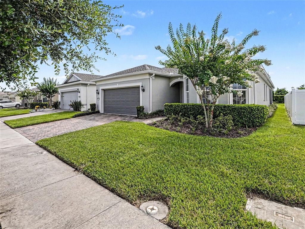 A single-story suburban house with a gray garage, brick driveway, and a blooming crape myrtle — 6261 CITRUS GROVE COURT, ST CLOUD, FL