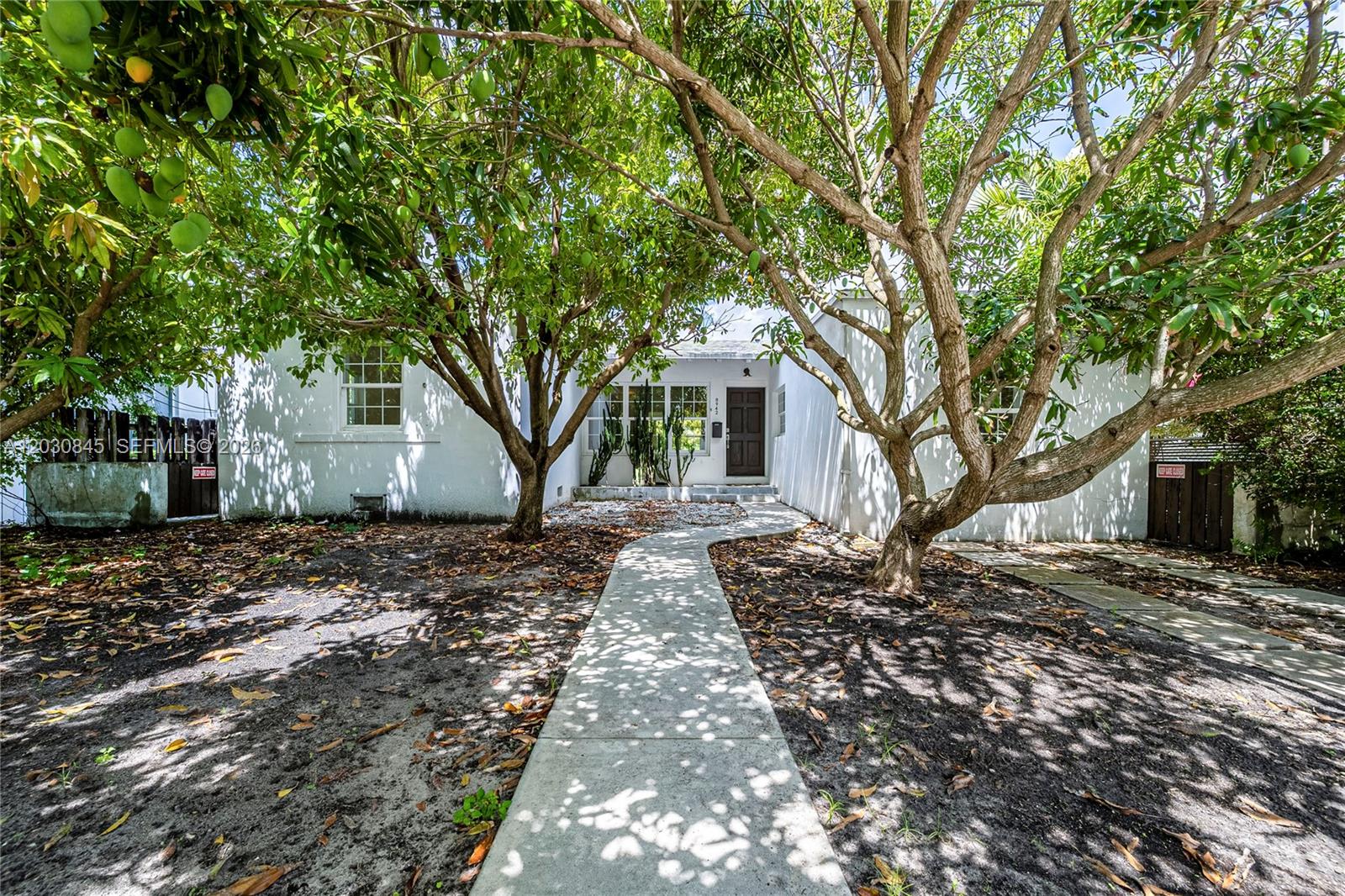 A white house with a concrete walkway is framed by two large mango trees — 8942 Carlyle Ave, Surfside FL 33154, SURFSIDE, FL
