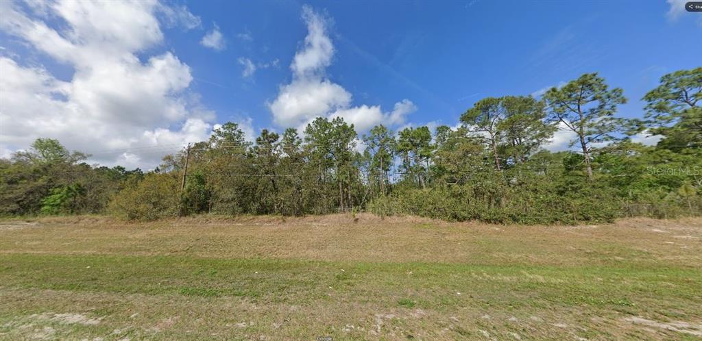 A grassy lot features a dense line of trees under a blue sky with clouds — COMMONWEALTH AVENUE N, POLK CITY, FL