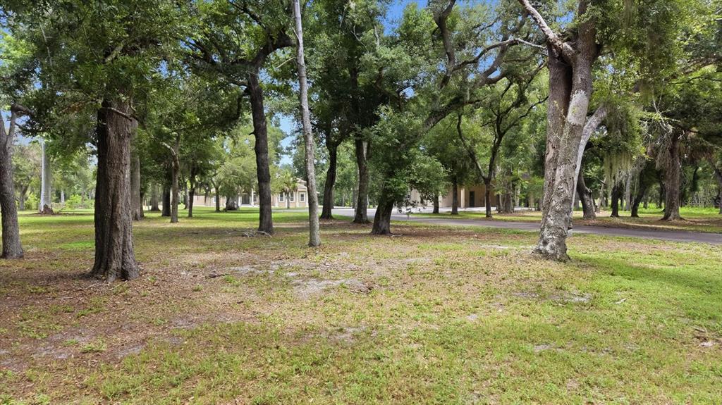 A grassy lot with many mature trees and a house visible in the background — 24525 JENNINGS ROAD, MYAKKA CITY, FL