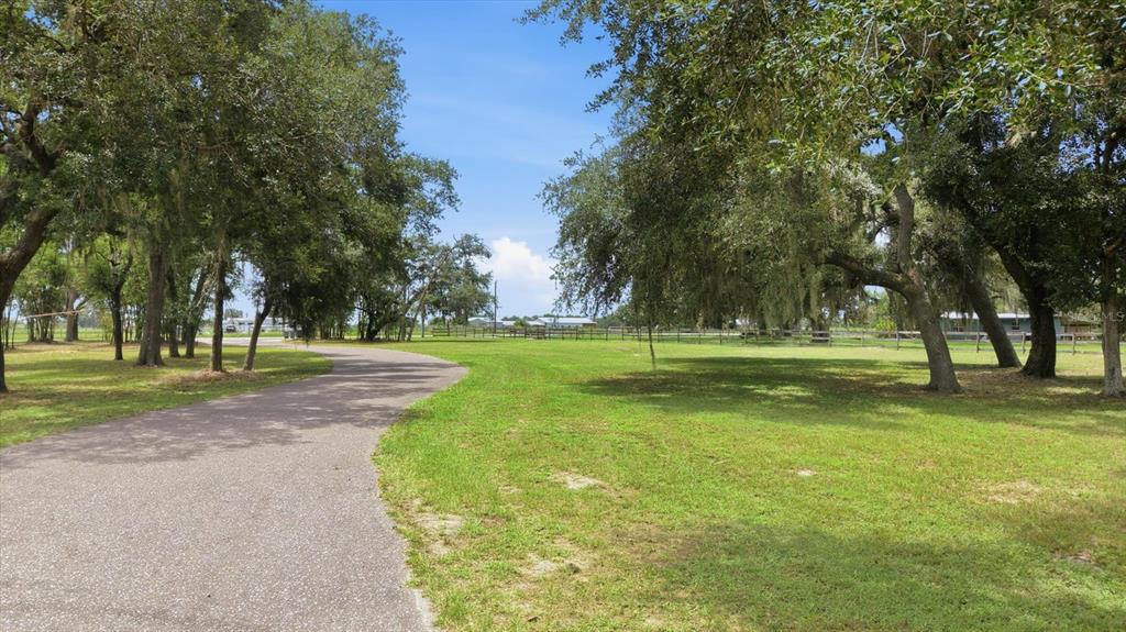 A paved driveway curves through a grassy yard shaded by large, moss-draped oak trees — 24525 JENNINGS ROAD, MYAKKA CITY, FL