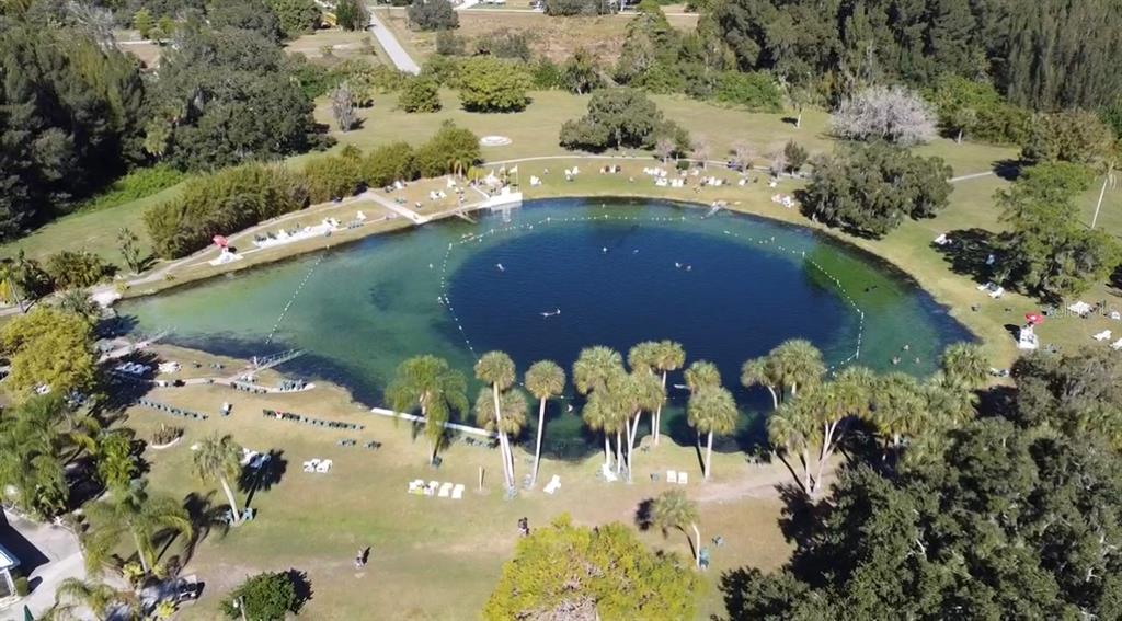 An aerial view shows a natural spring swimming hole surrounded by grassy lawns and trees — SAN REMO STREET, NORTH PORT, FL