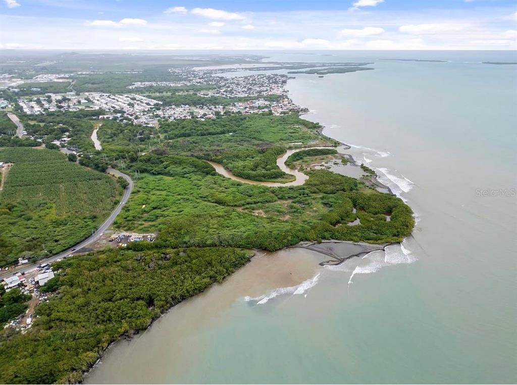An aerial view shows a coastal landscape with a winding river, dense vegetation, and ocean — 92 CARRETERA 1, SALINAS, PR