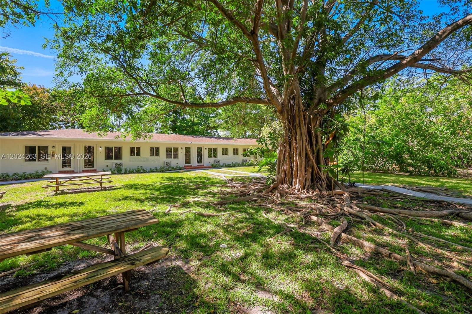 A large tree with exposed roots stands in a grassy yard before a single-story building — 8440 NE 1st Ave # 5, Miami FL 33138, MIAMI, FL