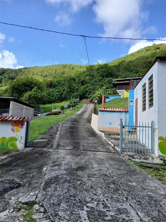 A concrete driveway leads uphill between two houses toward a lush, green hillside — Carr. 127 KM 7.9, GUAYANILLA, PR