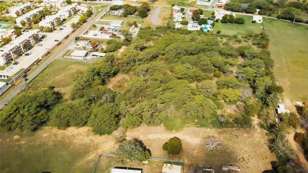 An aerial view shows a large, wooded vacant lot adjacent to residential buildings and roads — BO. COROZO, COMBATE,  CARR. 301 KM HM 7.0, CABO ROJO, PR