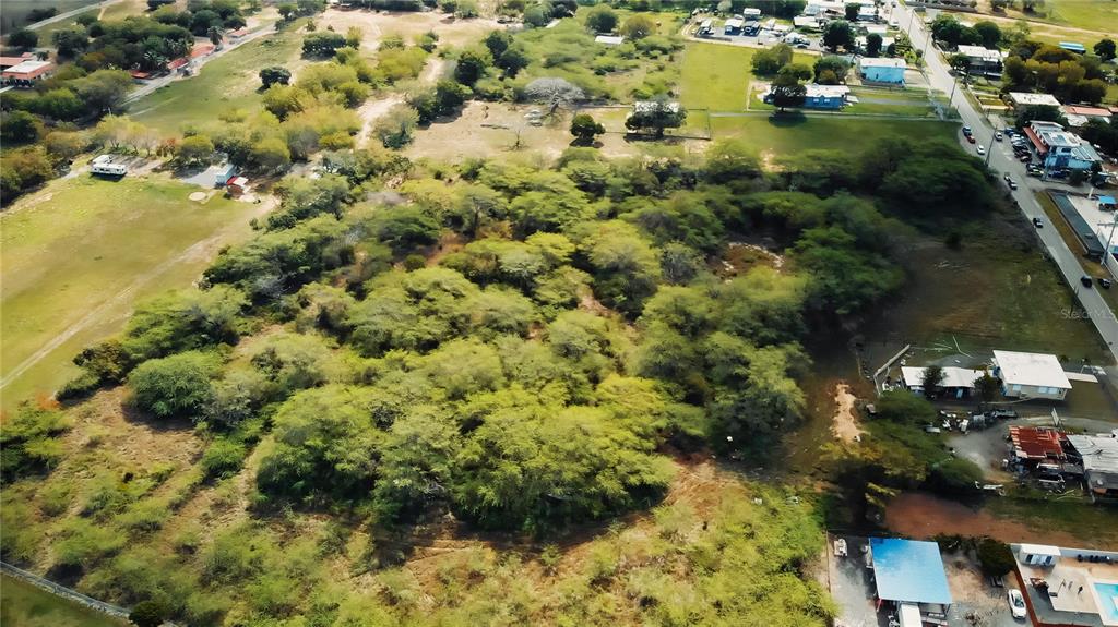 An aerial view shows a large, tree-covered lot adjacent to a road and residential buildings — BO. COROZO, COMBATE,  CARR. 301 KM HM 7.0, CABO ROJO, PR