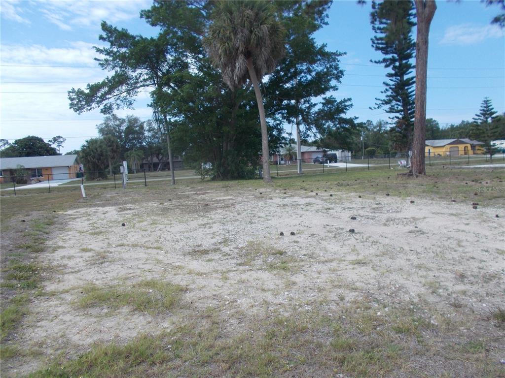 A vacant, sandy residential lot features scattered pine cones and mature trees under a blue sky — 5090 PALENA BOULEVARD, NORTH PORT, FL