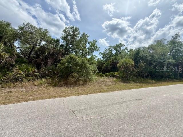 A paved road runs in front of a wooded, undeveloped residential lot — 19135 RUSKIN AVENUE, PORT CHARLOTTE, FL