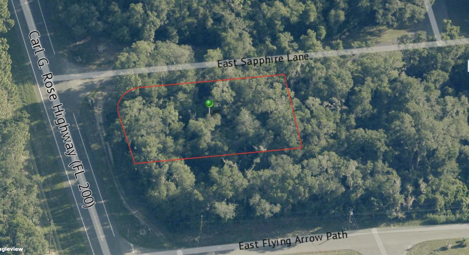 An aerial view shows a rectangular, tree-covered vacant lot bordered by two paved roads — 4975 N Carl G Rose Highway, FL 34442, FL