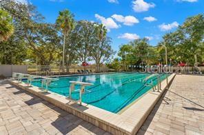 219 PALMETTO COURT UNIT 219, OLDSMAR, FL — photo 5 of 13