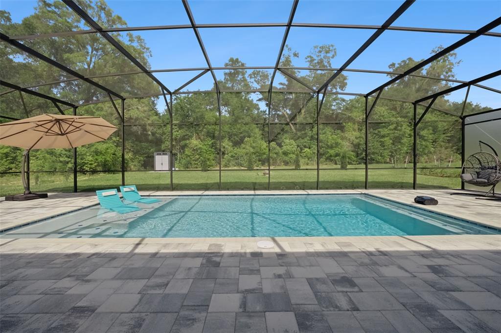 A swimming pool with lounge chairs inside a screened-in patio overlooking a grassy backyard — 5897 SIERRA CROWN STREET, MOUNT DORA, FL