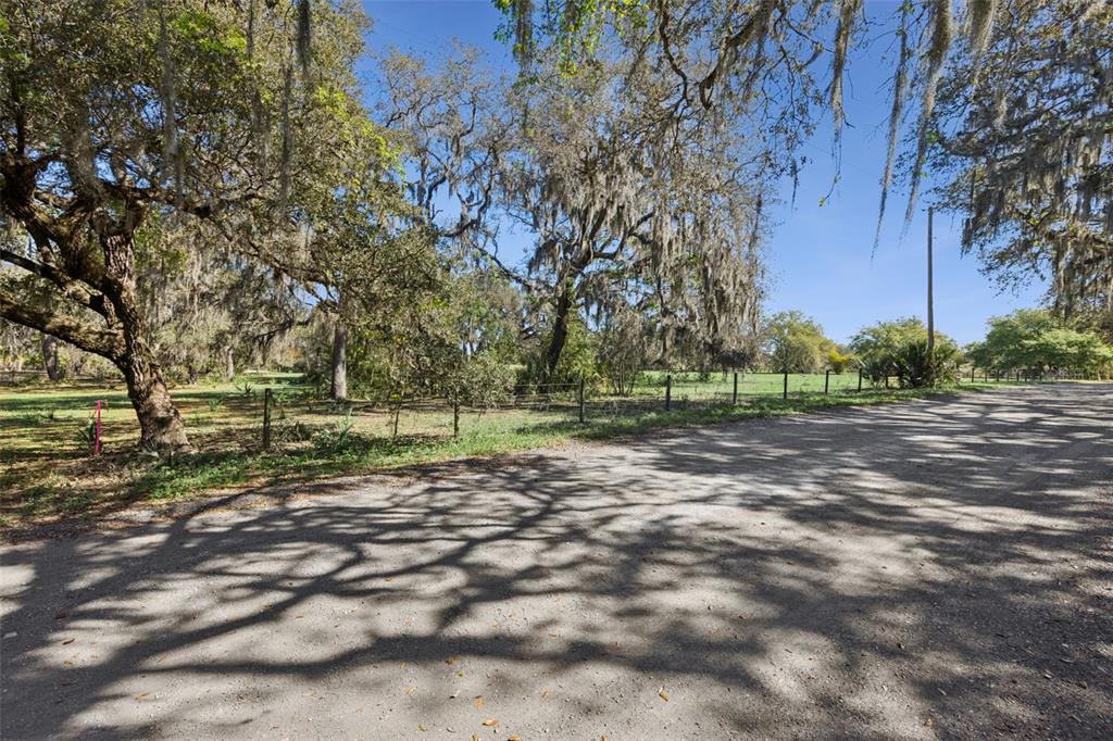A dirt road leads past a fenced, tree-filled lot with Spanish moss hanging from branches — LOT 3 OAK HOLLOW, OVIEDO, FL