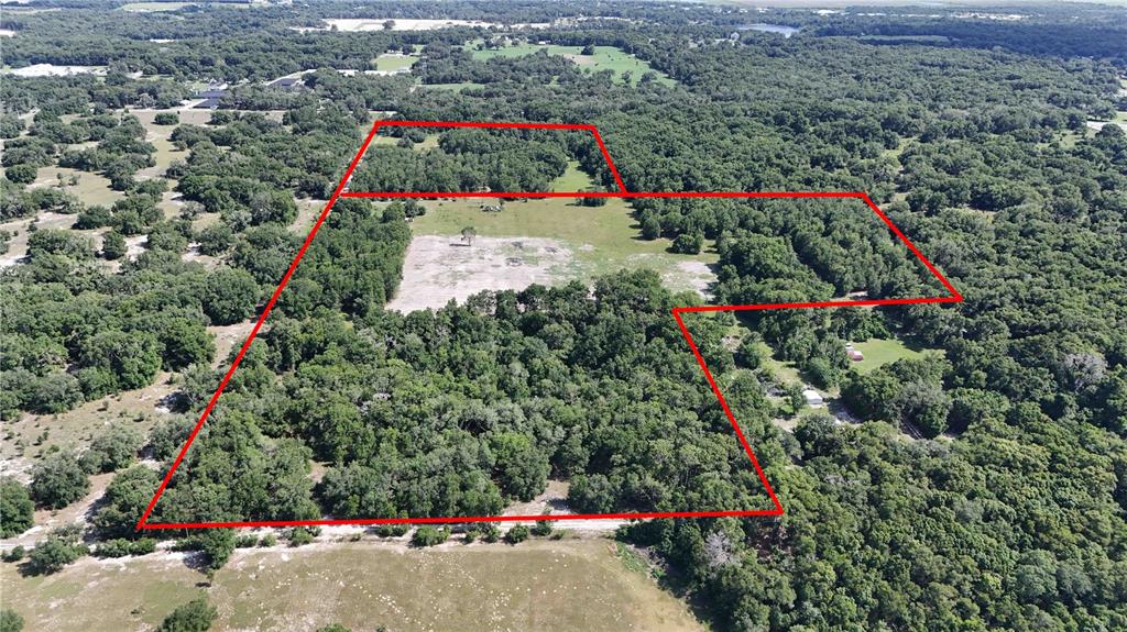 An aerial view shows a large, wooded plot of land outlined in red — 5501 CEMETERY & SADLER ROADS, MOUNT DORA, FL