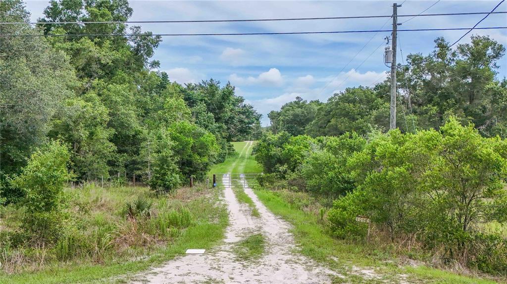 A dirt driveway leads to a metal gate surrounded by dense trees and green vegetation — 5501 CEMETERY & SADLER ROADS, MOUNT DORA, FL